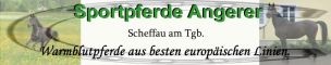 Sportpferde Angerer - Ihr Traum auf 4 Hufen